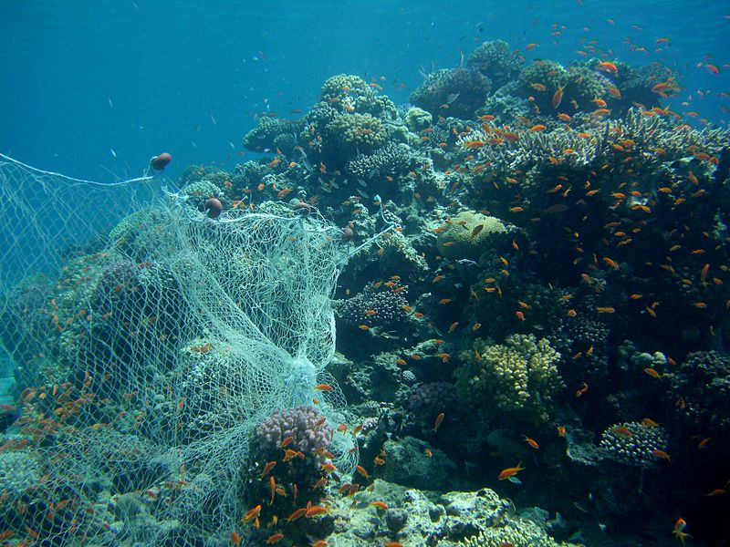 Divers Clear Nets from Coral in Penghu County ICRT Blog